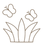 Lawn Area With Sit-out